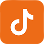 Icon TikTok